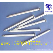 common nail, iron nail, common wire nail